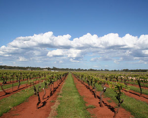 Coonawarra Winery Region 
